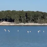 Matko