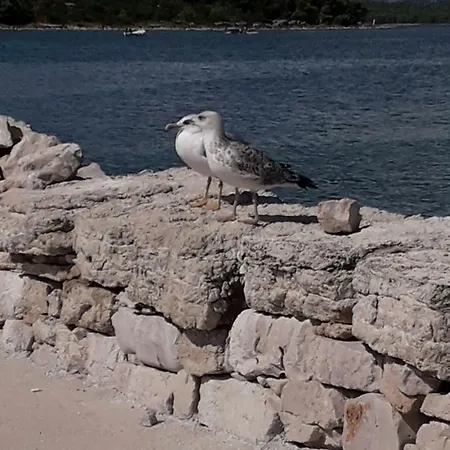 Apartmán Matko Betina (Sibenik-Knin)